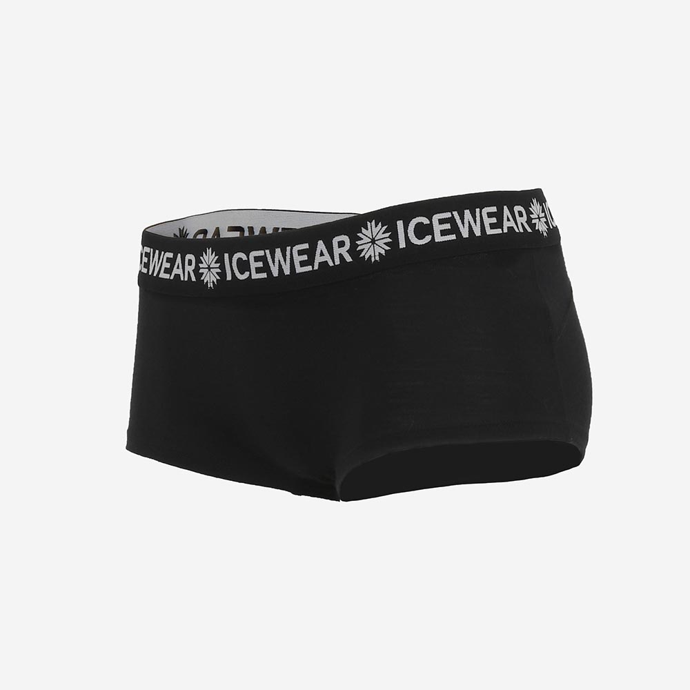 svartanes-women-merino-baselayer-panties-fw1295-2.jpeg