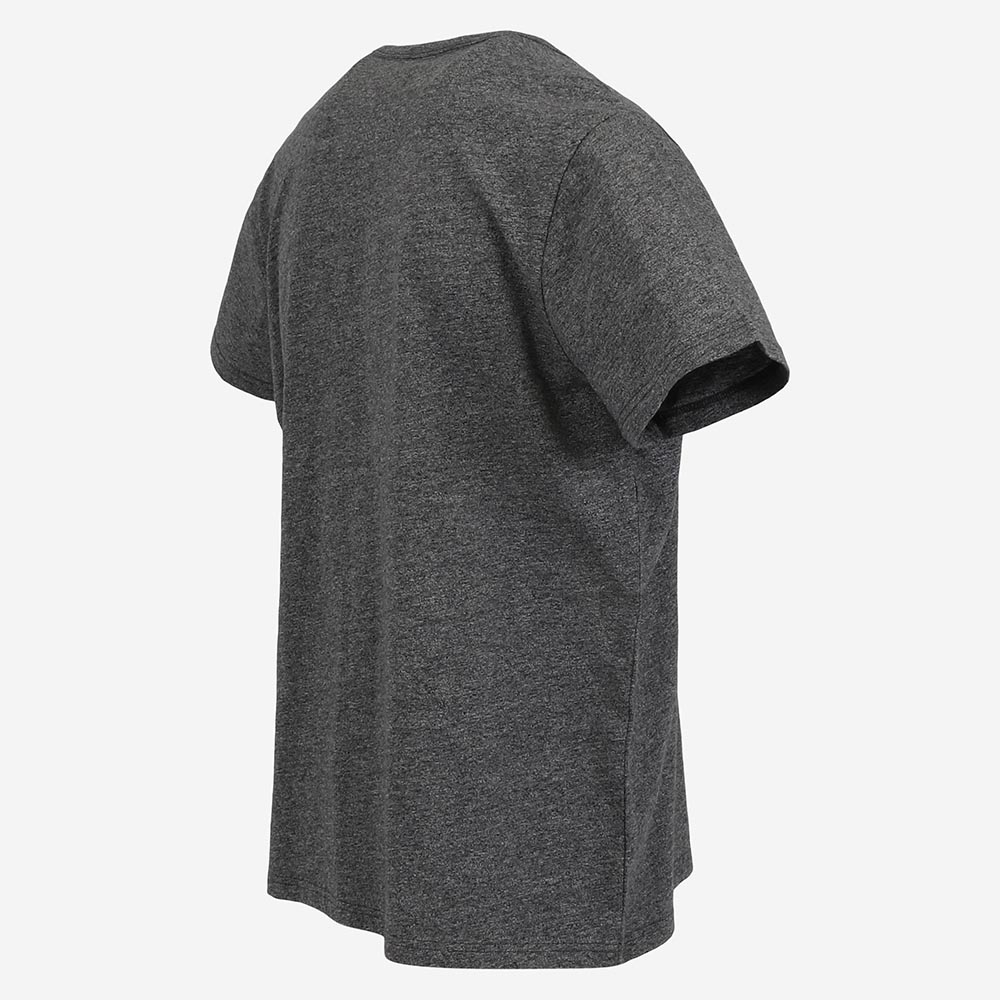 tshirt-iceland-cotton_eyjalon_84.jpeg