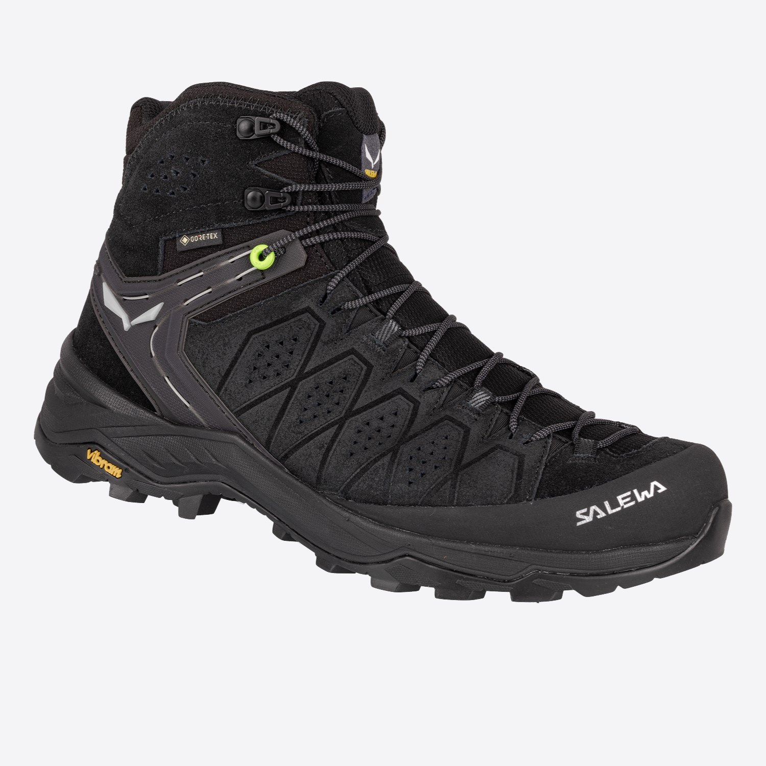 5aalp-trainer-2-mid-gtx-0971-1.jpeg