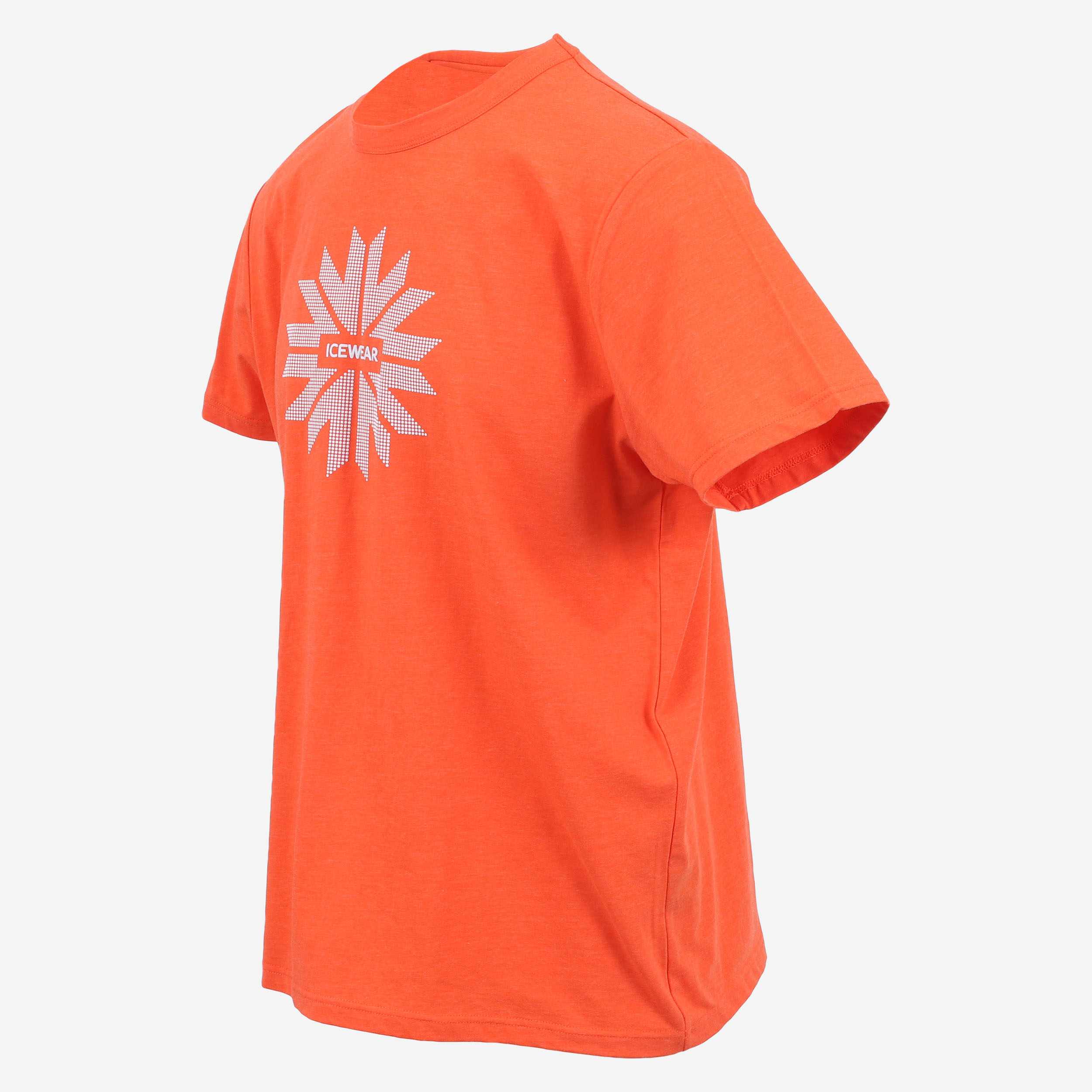 langavik-tshirt-iceland_39.jpeg