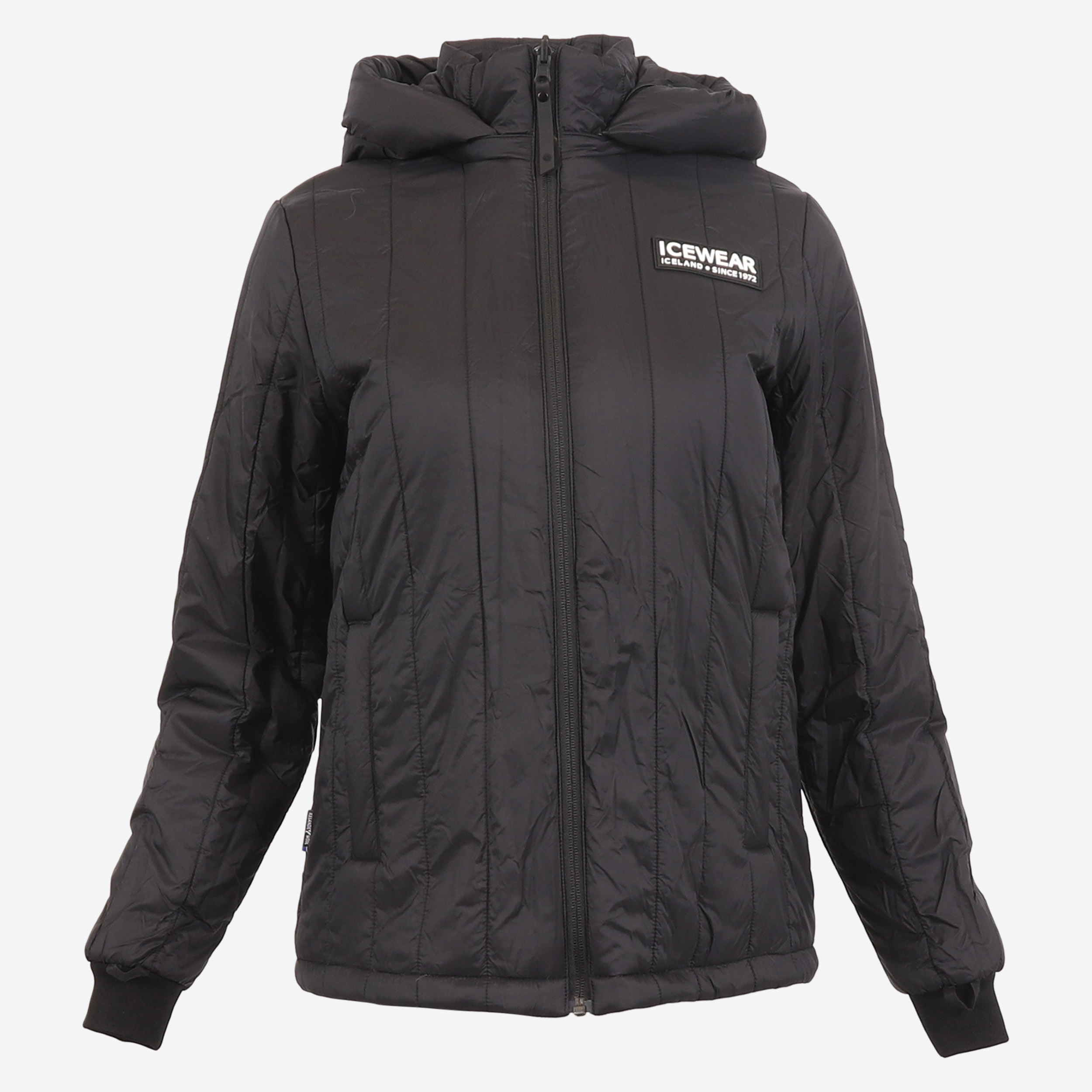 FW-1313-0001-4.jpeg