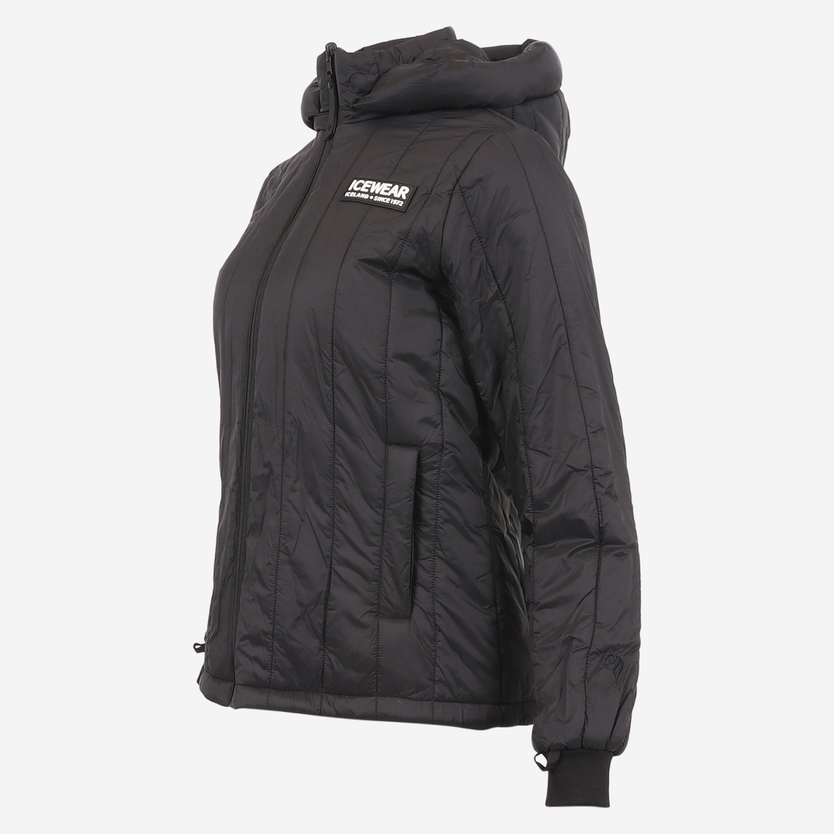 FW-1313-0001-5.jpeg