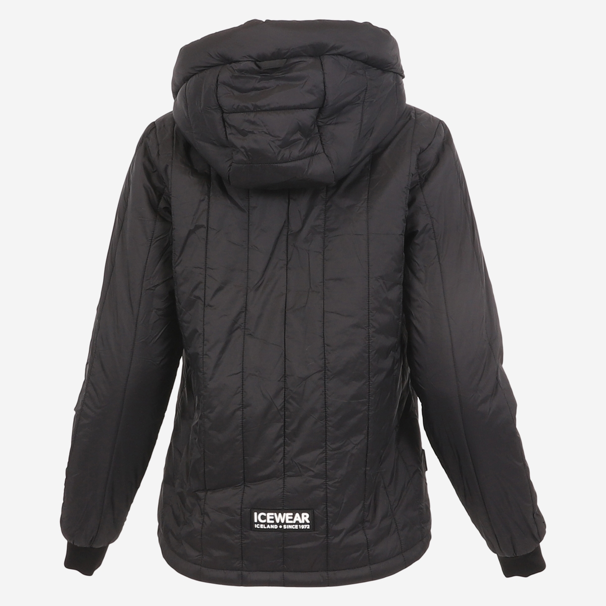 FW-1313-0001-6.jpeg