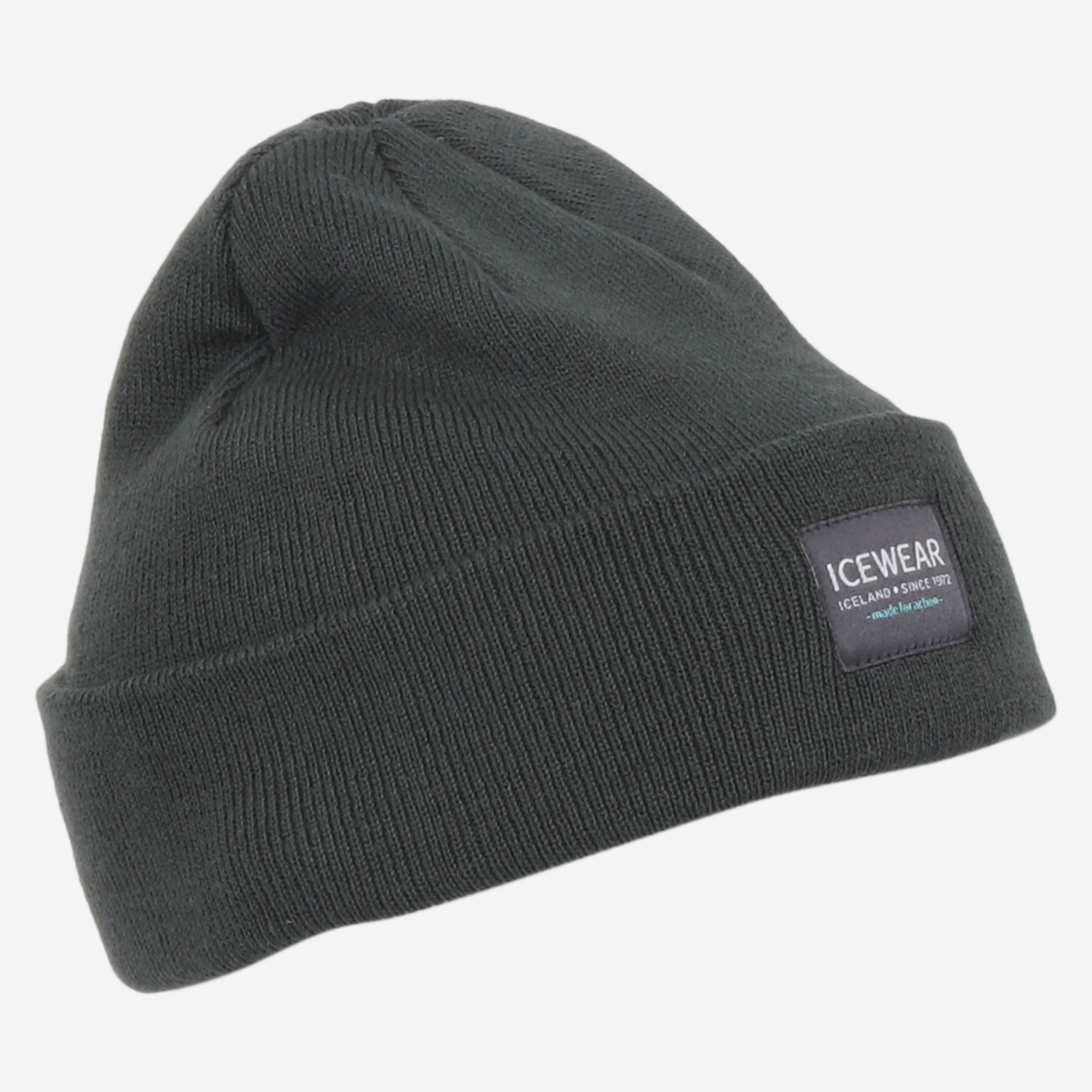 Tindur_Young_hat_green.jpeg
