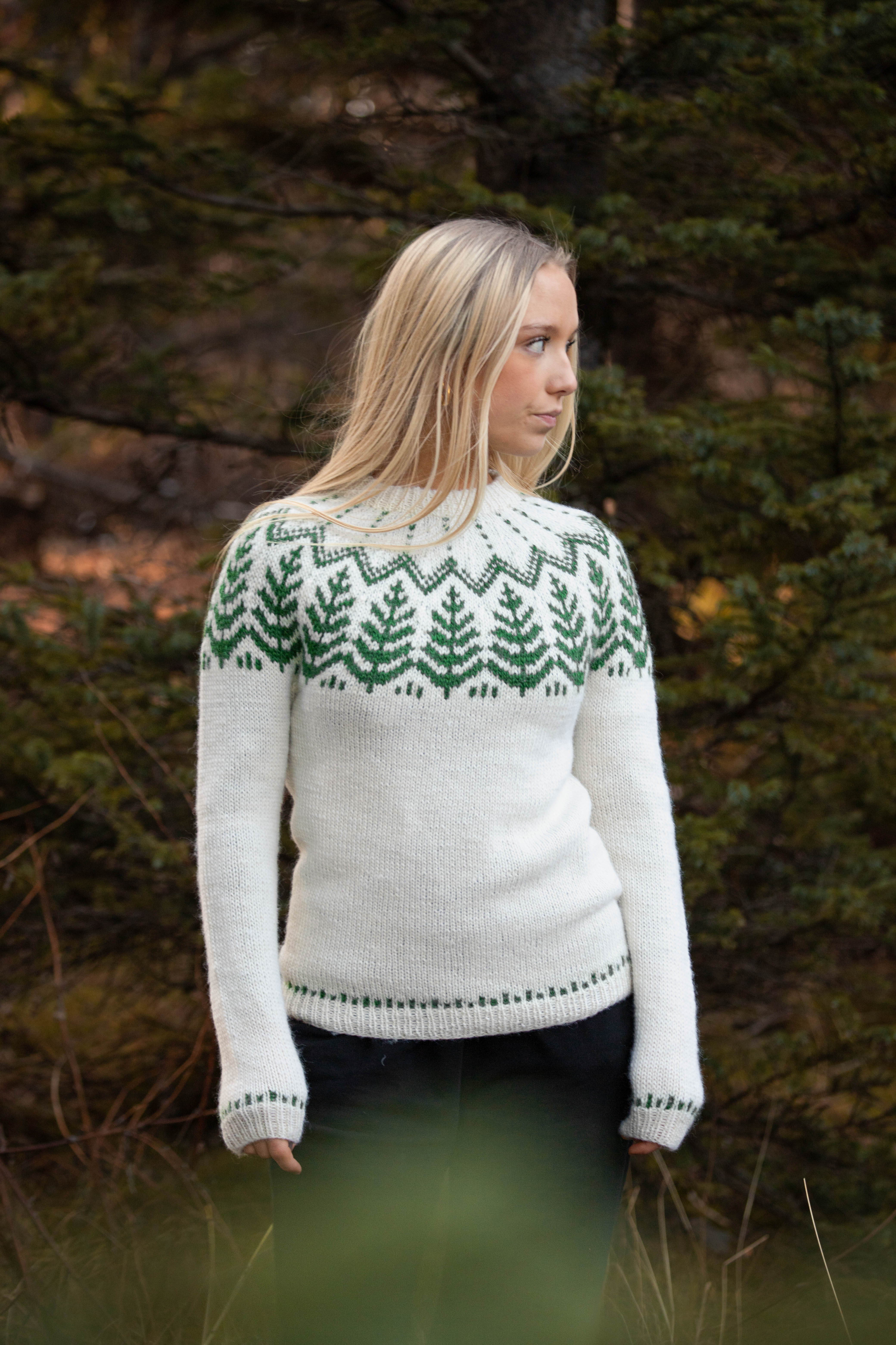 sitkagreni_RJ-004_adult-patterned-sweater_knitting-pattern_prjonauppskrift3.jpeg