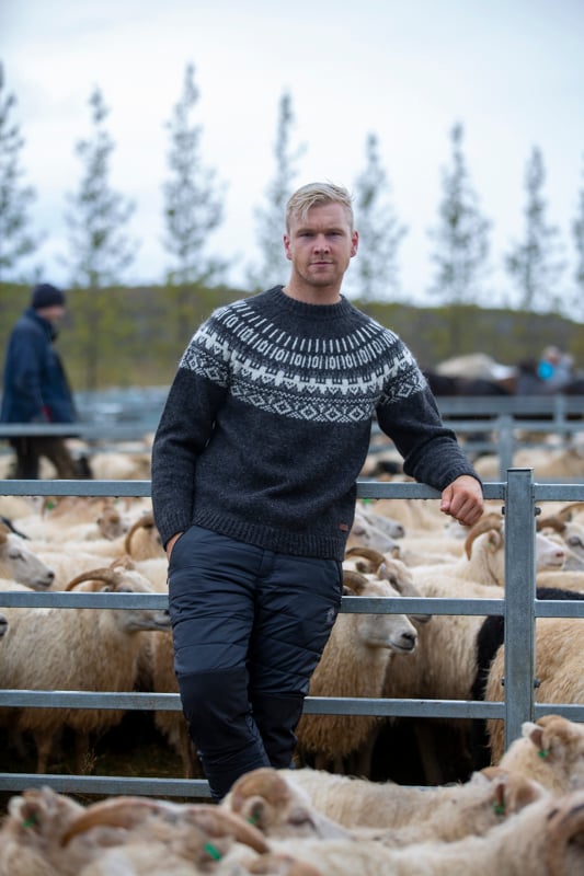 sheep-gathering-iceland-wool-sweater_7097.jpeg
