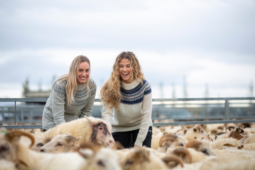rettir-sheep-gathering-iceland-wool-sweater_6406.jpeg