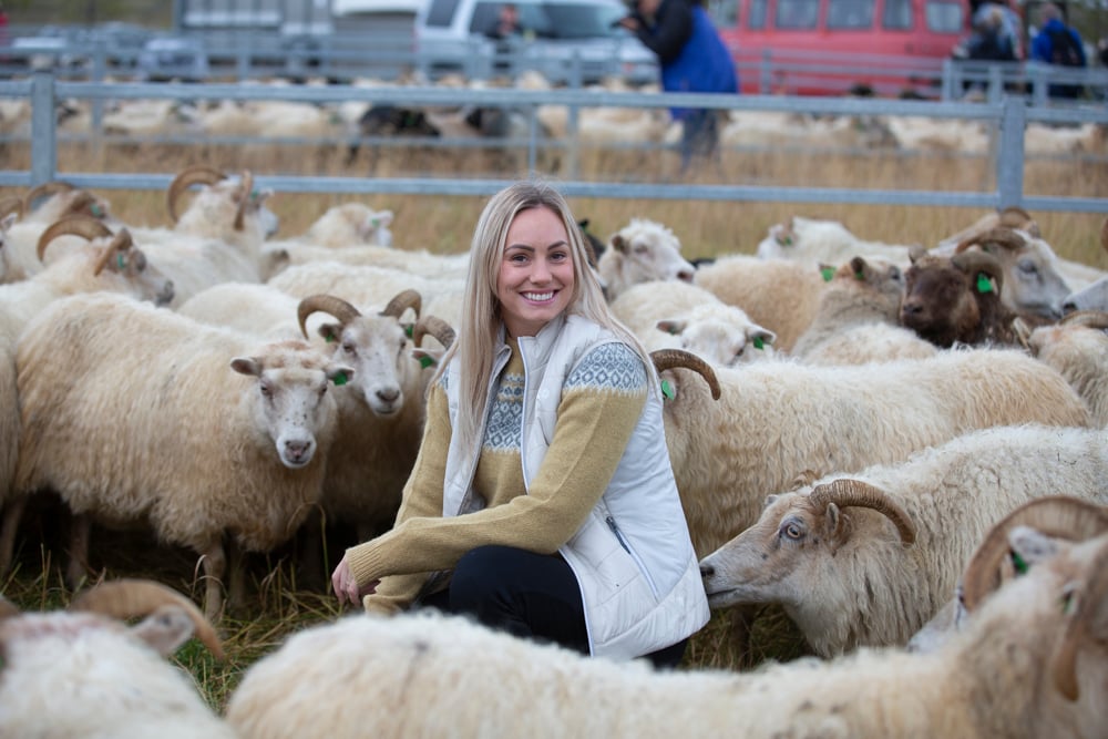 rettir-sheep-gathering-iceland-wool-sweater_6132.jpeg