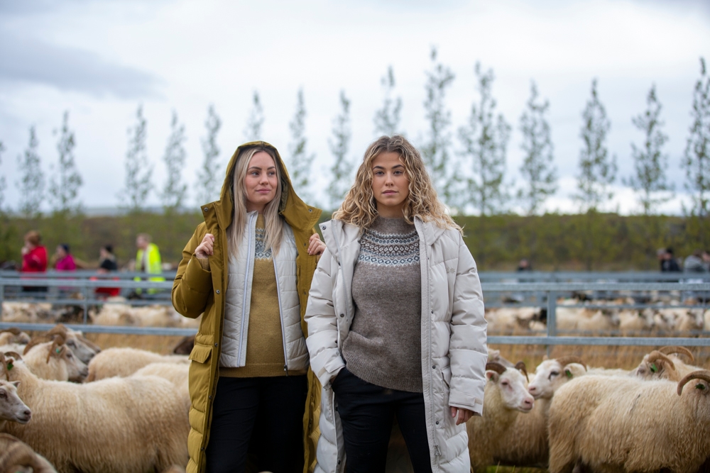 rettir-sheep-gathering-iceland-wool-sweater_6075.jpeg