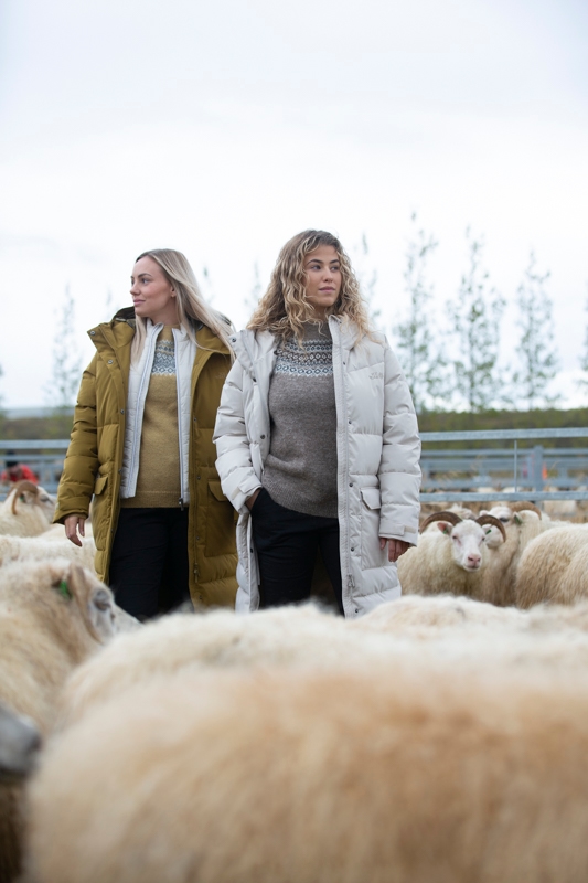 rettir-sheep-gathering-iceland-wool-sweater_6096.jpeg