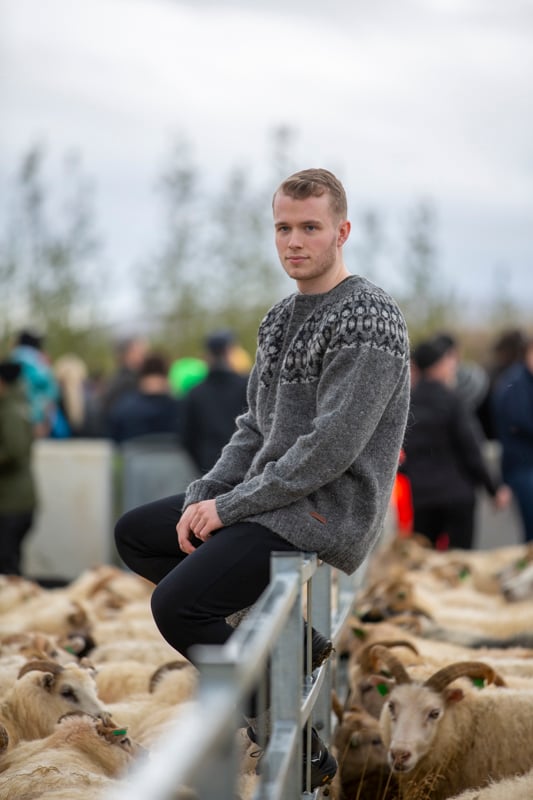 rettir-sheep-gathering-iceland-wool-sweater_6059.jpeg