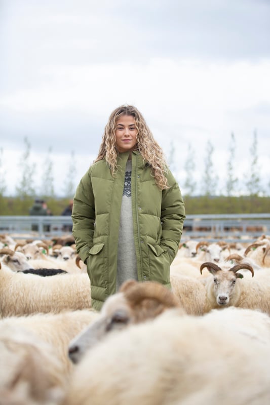 rettir-sheep-gathering-iceland-wool-sweater_5869.jpeg