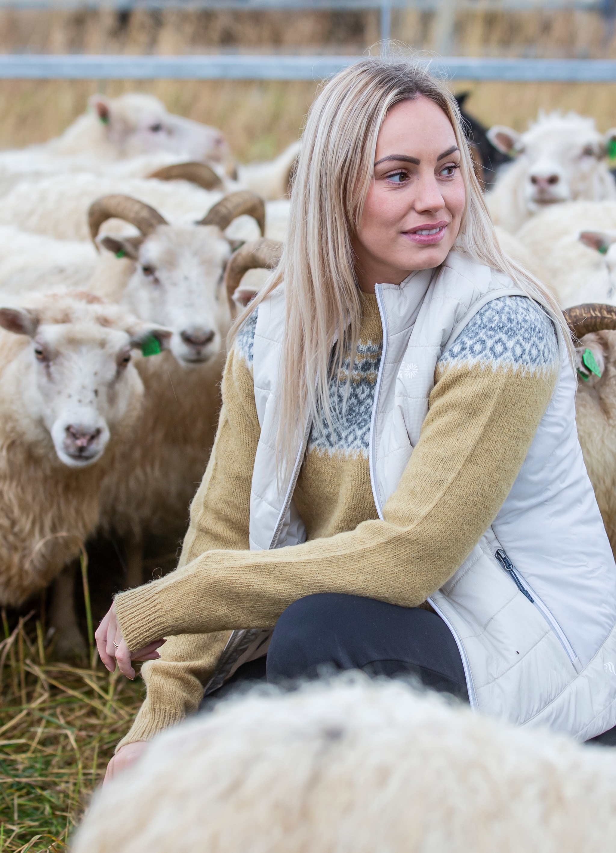 rettir-sheep-gathering-iceland-wool-sweater_6129-2.jpeg