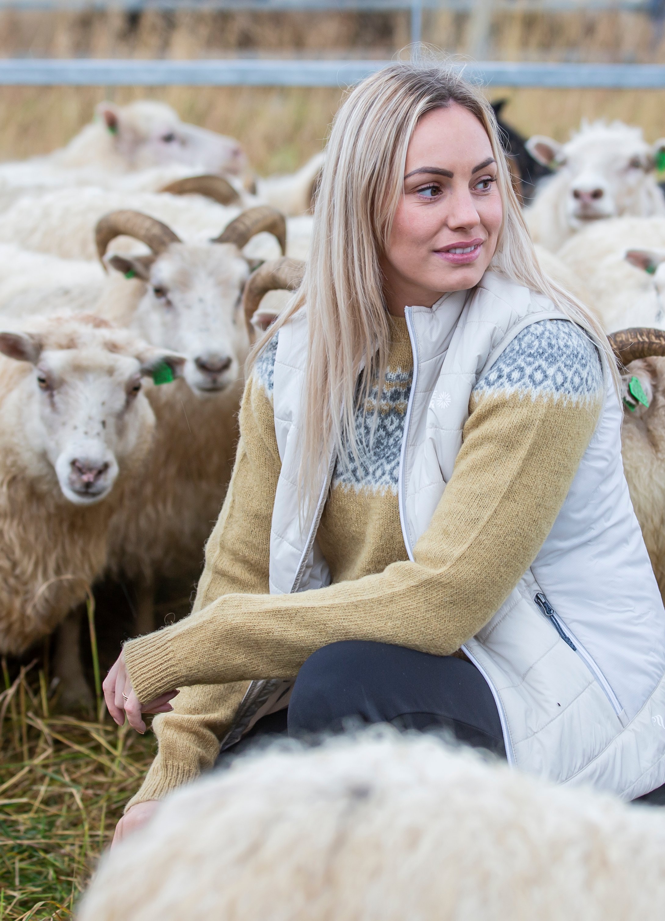 rettir-sheep-gathering-iceland-wool-sweater_6129-2.jpeg