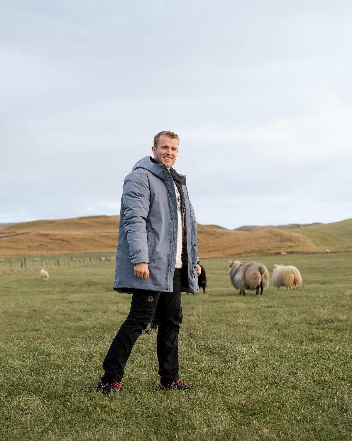 iceland-sheep-wool-winterjacket-grass_19.jpeg