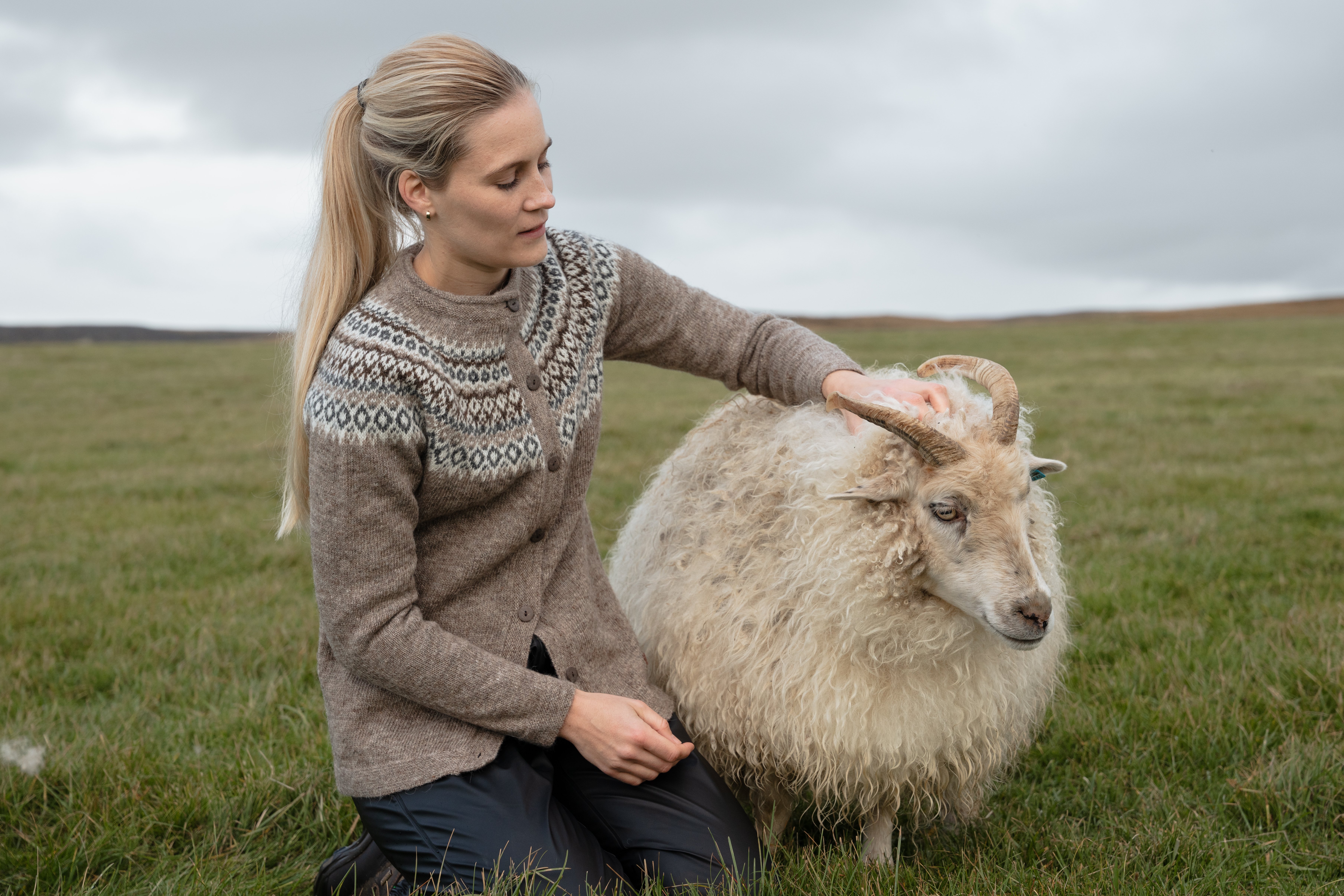 iceland-sheep-wool-sweater-grass_26.jpeg