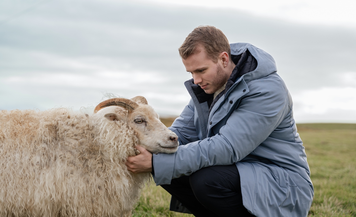 iceland-sheep-wool-winterjacket-grass_17.jpeg
