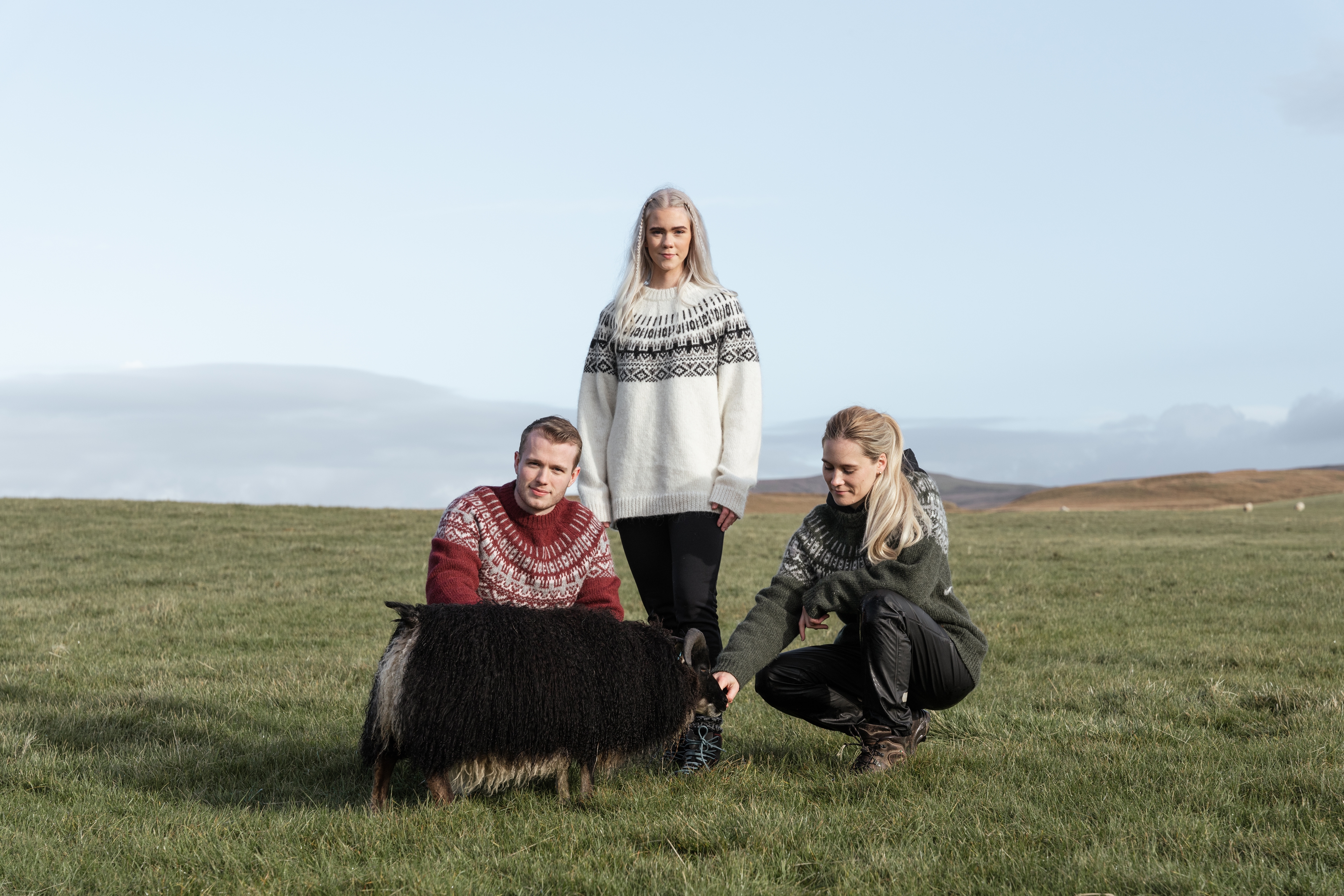 iceland-wool-sweater-women-sheep-grass_8.jpeg