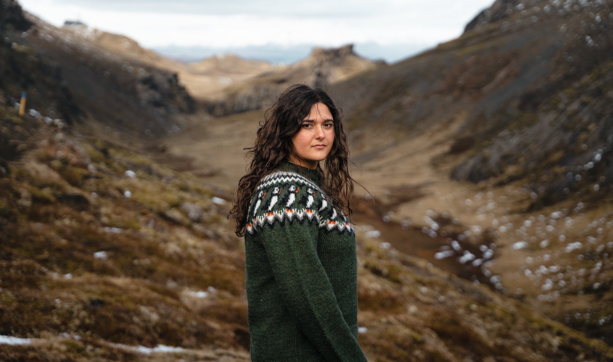 iceland-woman-wool-sweater_116-lundi-puffin.jpeg