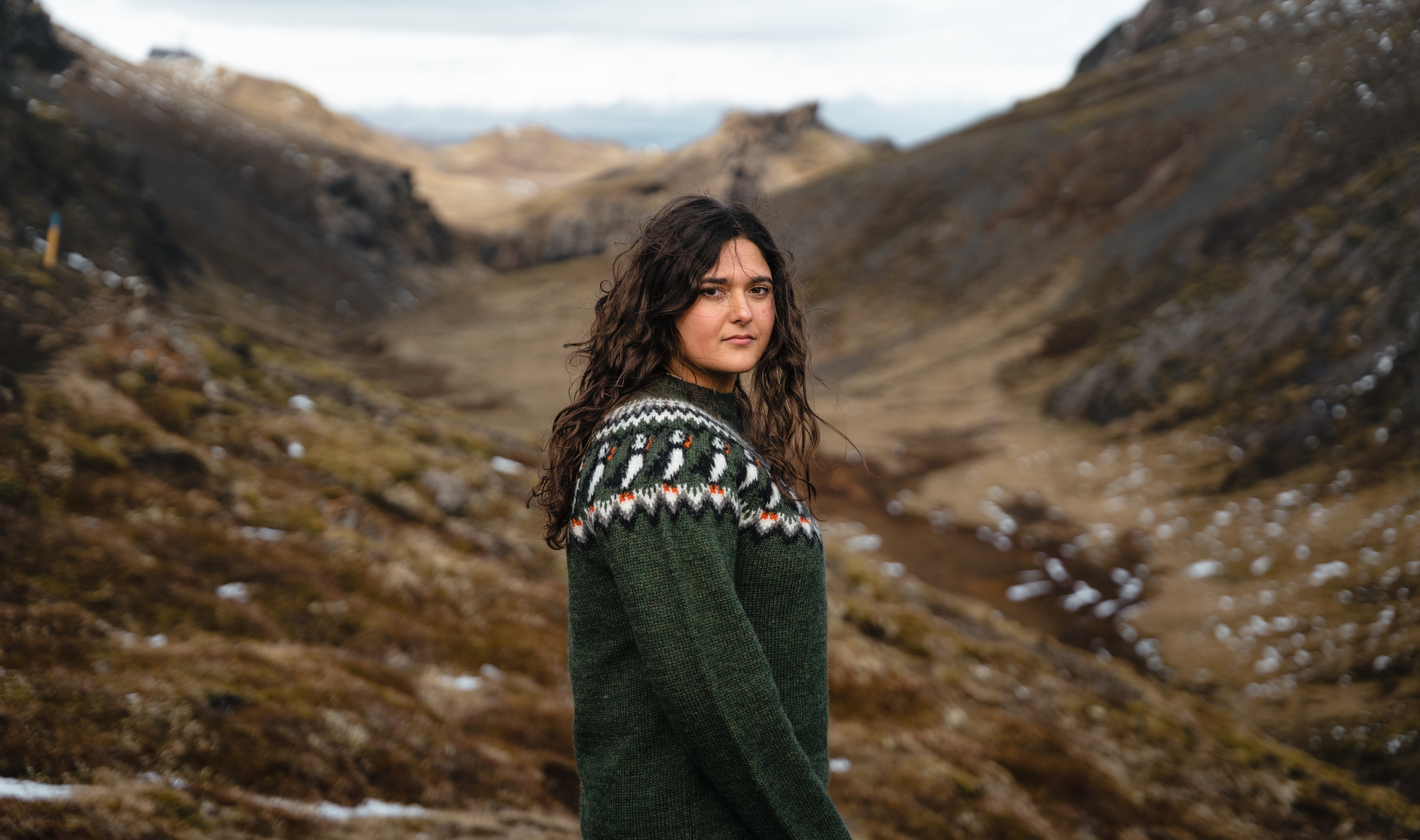 iceland-woman-wool-sweater_116-lundi-puffin.jpeg
