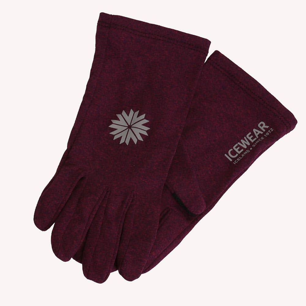 Fjall Gants
