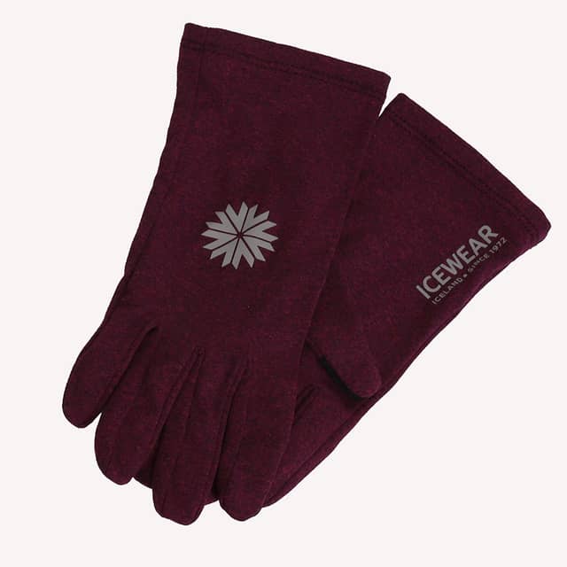 Fjall Gants