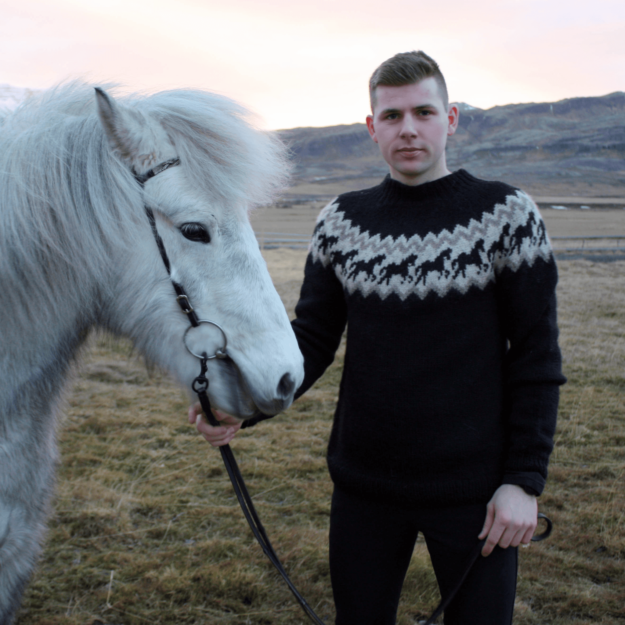 Ljómi adult horsesweater knitting pattern