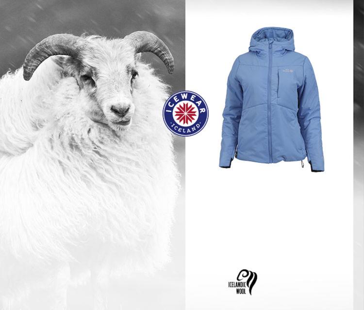 Merino Wool Guide, USA Blog and news articles from Iceland