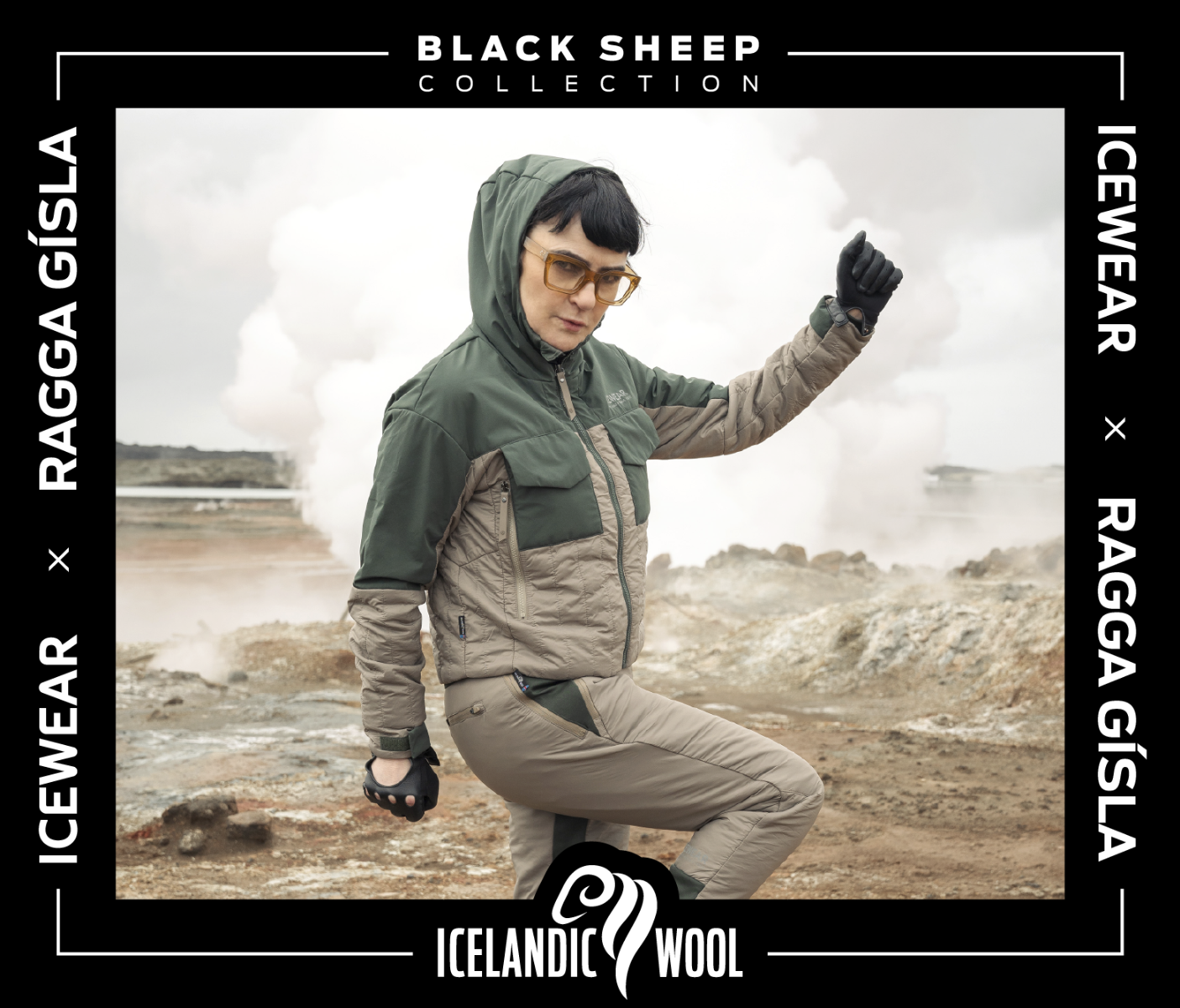 Black Sheep Collection | Icelandic Wool filling
